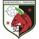 SG Schenkenzell-Schiltach > Damen