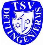 TSV Dettingen/Erms Fussball > Jugend