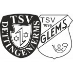TSV Dettingen/Erms Fussball > SGM
