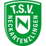 TSV Neckartenzlingen Abteilung Fußball