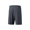 TEAM Shorts slate grey