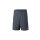 TEAM Shorts slate grey