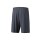 TEAM Shorts slate grey