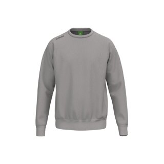 TS Sweatshirt taupe