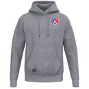 TS Hoody grau melange