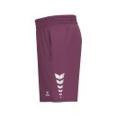 CELEBRATE 125 Shorts burgundy
