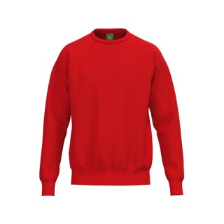 TS Sweatshirt rot