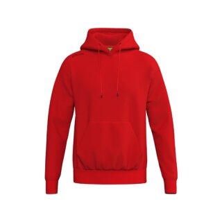 TS Hoody rot