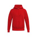 TS Hoody rot