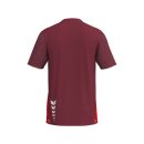 T&F WINGS T-Shirt function bordeaux/rot