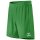 RIO 2.0 Shorts smaragd