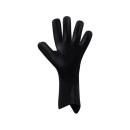 AeroClaw Legend schwarz/gold